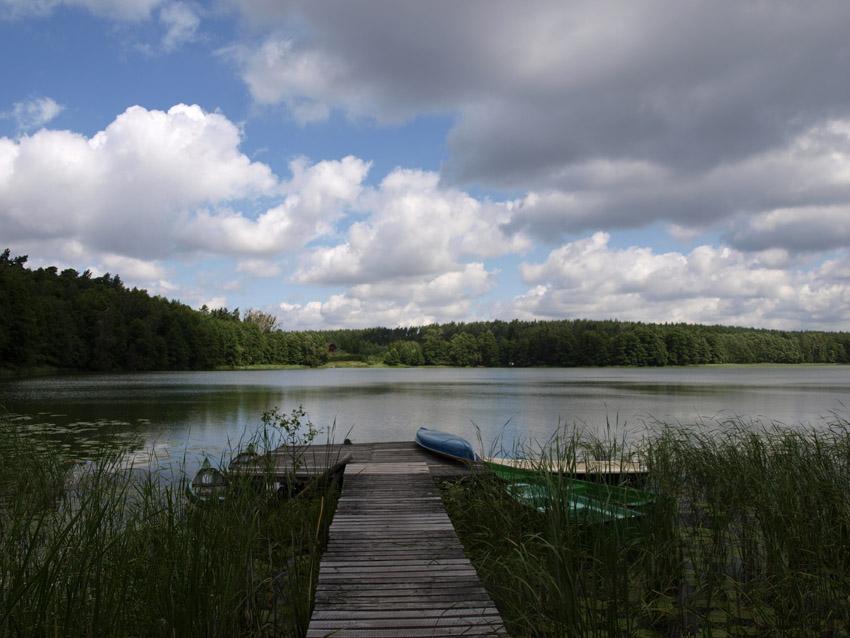 Siedlisko Leśne Wronka 18