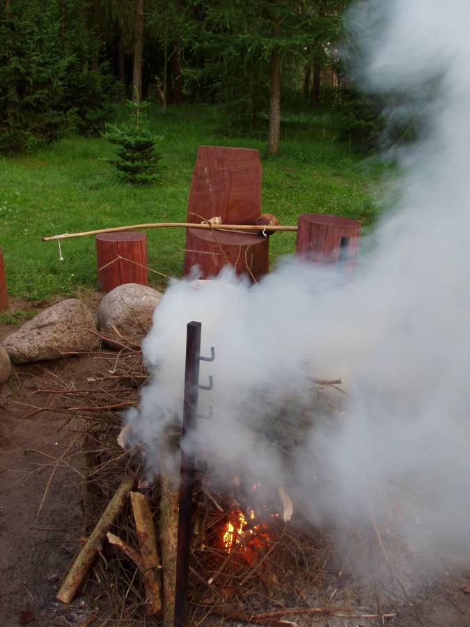 Siedlisko Leśne Wronka 26