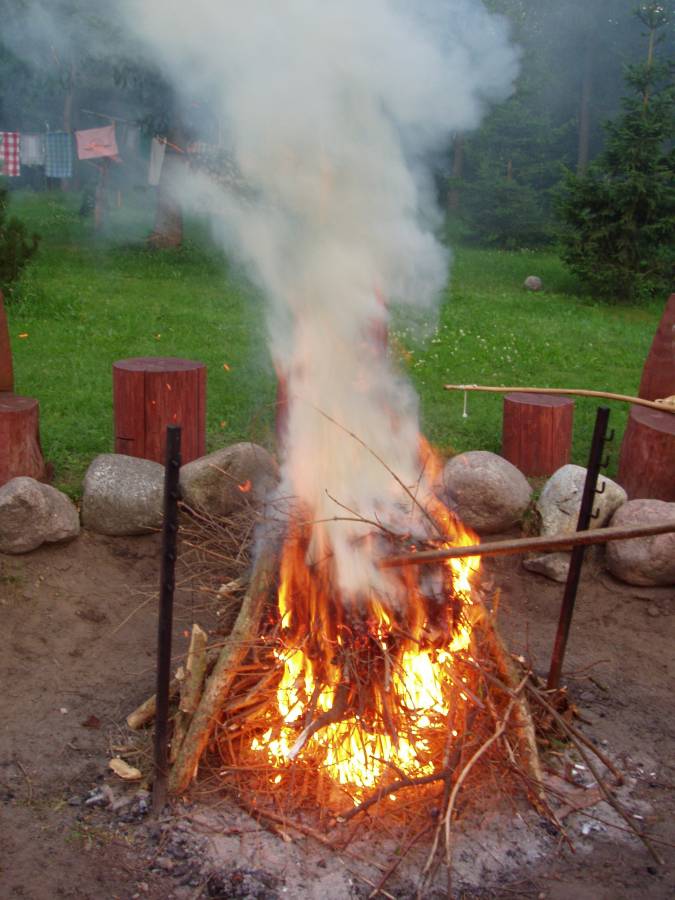 Siedlisko Leśne Wronka 27